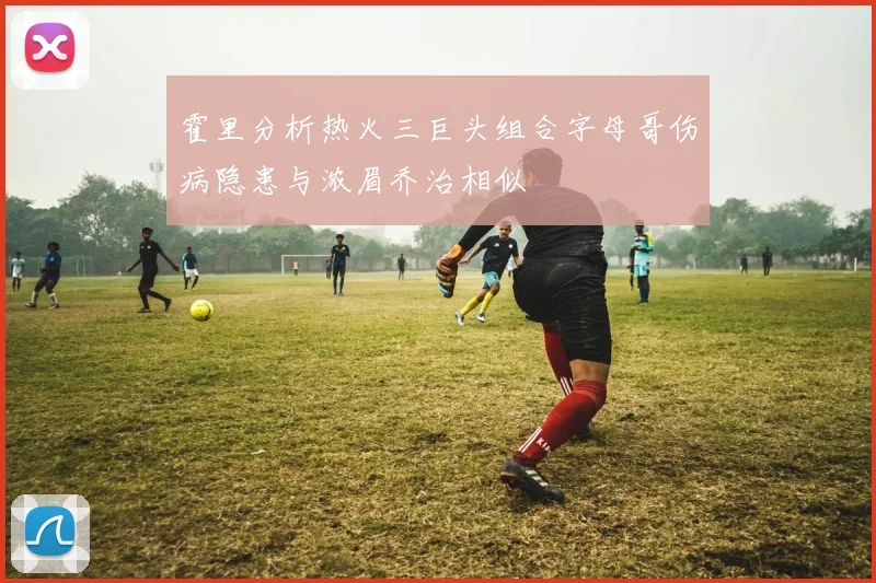 霍里分析热火三巨头组合字母哥伤病隐患与浓眉乔治相似