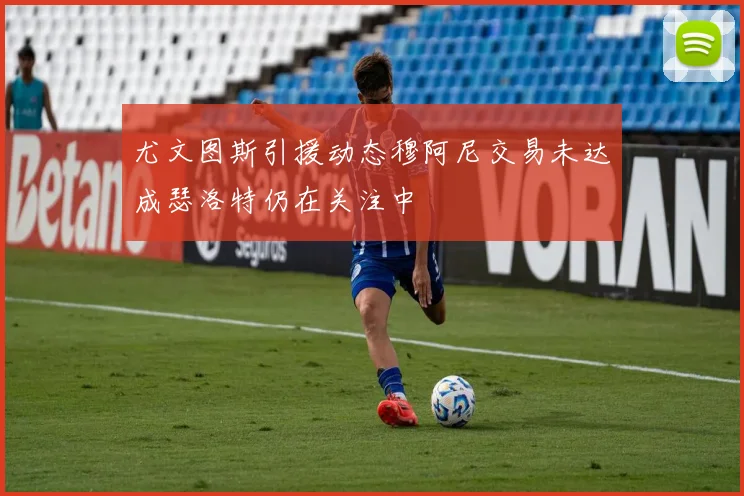 尤文图斯引援动态穆阿尼交易未达成瑟洛特仍在关注中