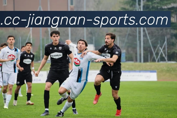 平台使命图